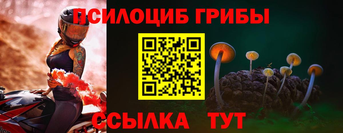 Псилоцибиновые грибы прущие грибы  Вход с VPN  Кушва 