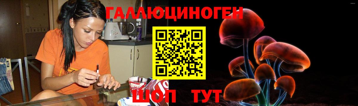 Псилоцибиновые грибы Psilocybe Кушва